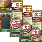 セット品] 皮革用シリコンコーティング剤 革王 スポンジ付 ３セット